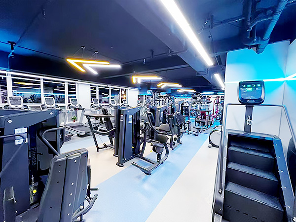 Solução de Ginásio Comercial (Cardio+Strength+Multi Station)