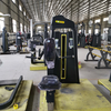 Máquina de fileira vertical F34 | Desenvolvedor da parte superior das costas | Corretor de Postura