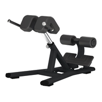 Banco de extensão traseira F45 | Cadeira Romana | Desenvolvedor Core & Lower Back