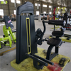 Máquina de extensão traseira F31 | Fortalecedor da região lombar | Desenvolvedor de Cadeia Posterior