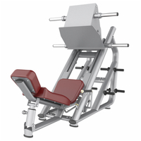 Leg Press AN56 | Desenvolvedor de parte inferior do corpo | Máquina comercial de leg press