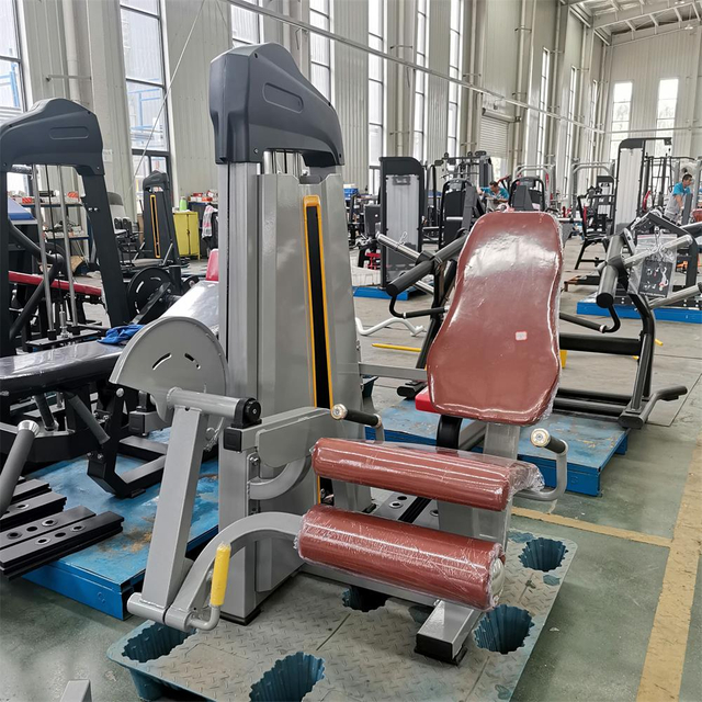 Máquina de extensão de perna F02 | Isolador de quadríceps | Equipamento de fortalecimento de joelho