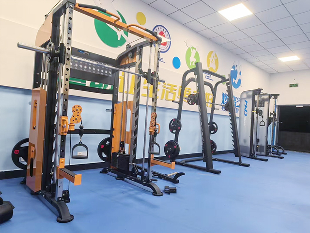 equipamentos de ginástica carregados com placas para clubes esportivos
