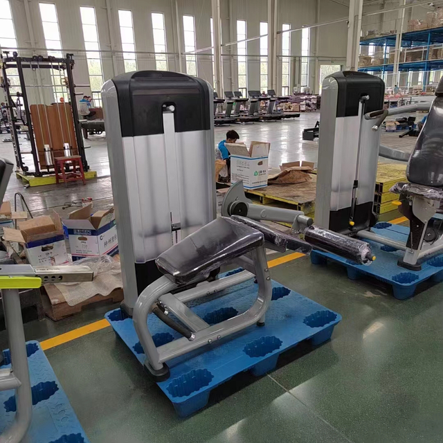 FF01 Flexão de perna prona comercial | Máquina OEM para isquiotibiais para academias | Minolda