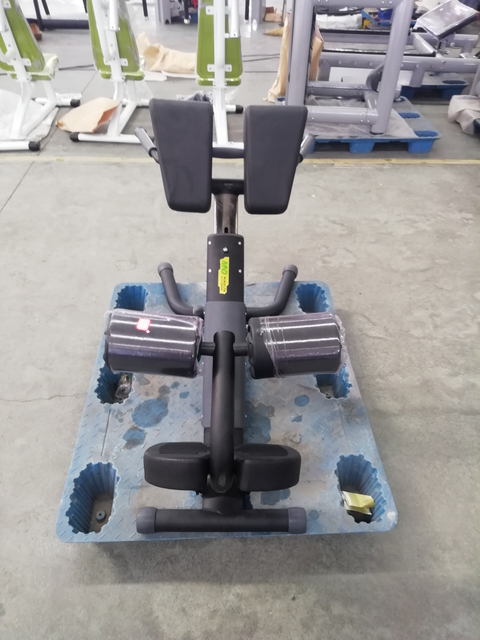 Cadeira Romana Ajustável AN73 | Extensão traseira | Treinador principal