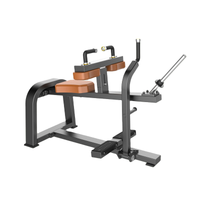 Máquina de elevação de panturrilha sentada F62 | Desenvolvedor de bezerros | Treinador de perna