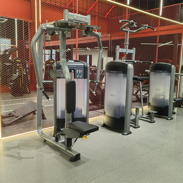 Máquina de mosca delt traseira FF07 | Construtor da parte superior das costas | Equipamento de ginástica OEM