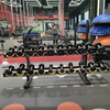 Suporte para halteres de camada dupla FF49 | Armazenamento comercial de halteres | Organização de equipamentos de ginástica