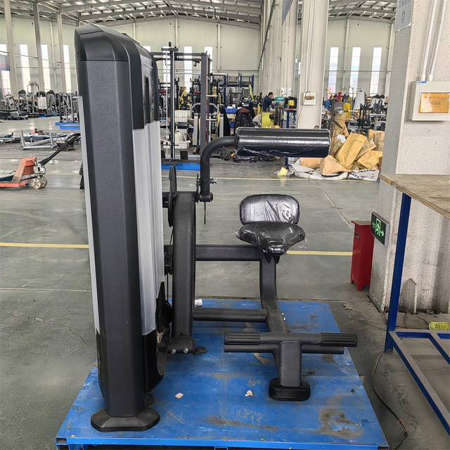 Máquina de extensão traseira FF31 | Fortalecedor da região lombar | Desenvolvedor de Cadeia Posterior